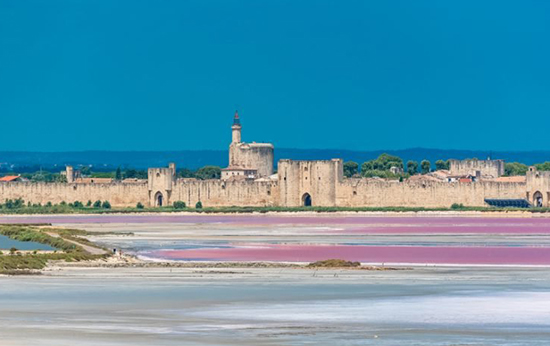 Les Salins du Midi (Aigues-Mortes)